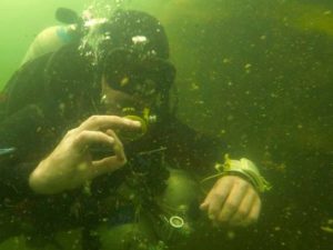 Tec Deep Course, More Divers Certified